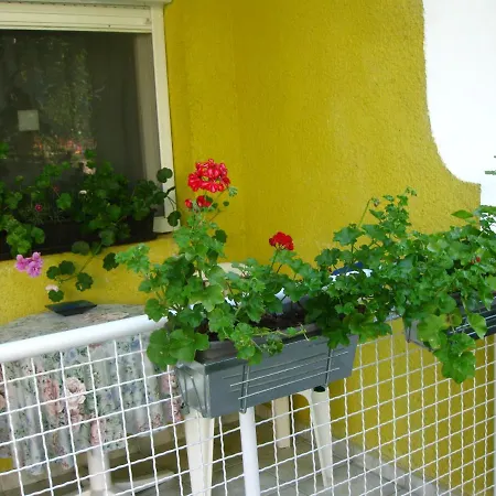 公寓 Apartman